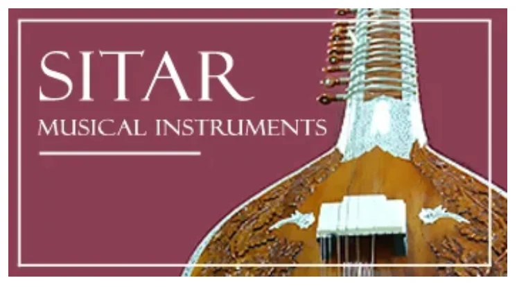 Sitar in store